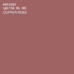 #9E6362 - Copper Rose Color Image